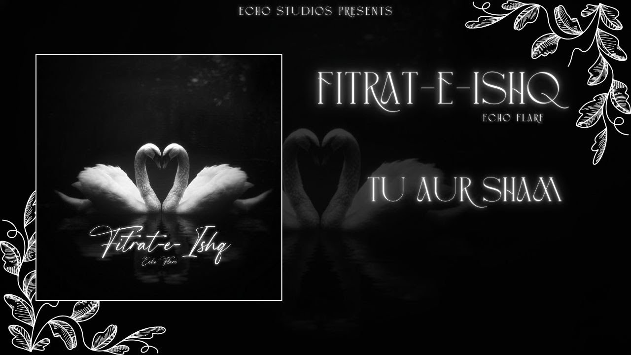 Echo Flare 🂾 – Tu Aur Sham | FITRAT-E-ISHQ | (Official Visualizer) | Track 4