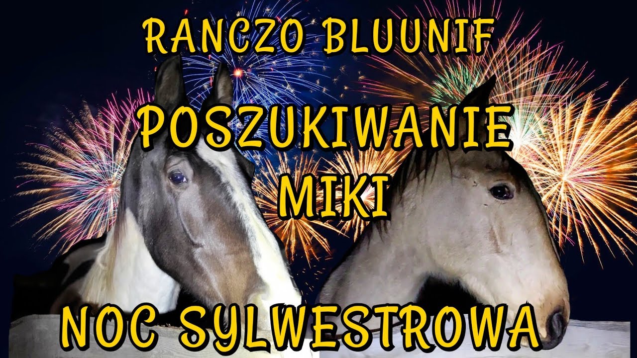 MIKA ZAGINĘŁA / PIERWSZY SYLWESTER W STAJNI WOLNOWYBIEGOWEJ