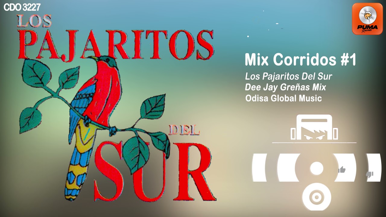 Mix De Corridos #1 - Los Pajaritos Del Sur - Odisa Global Music