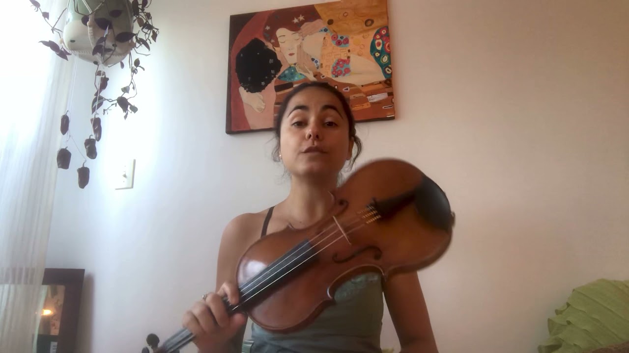 Comment placer une épaulière sur le Violon ?