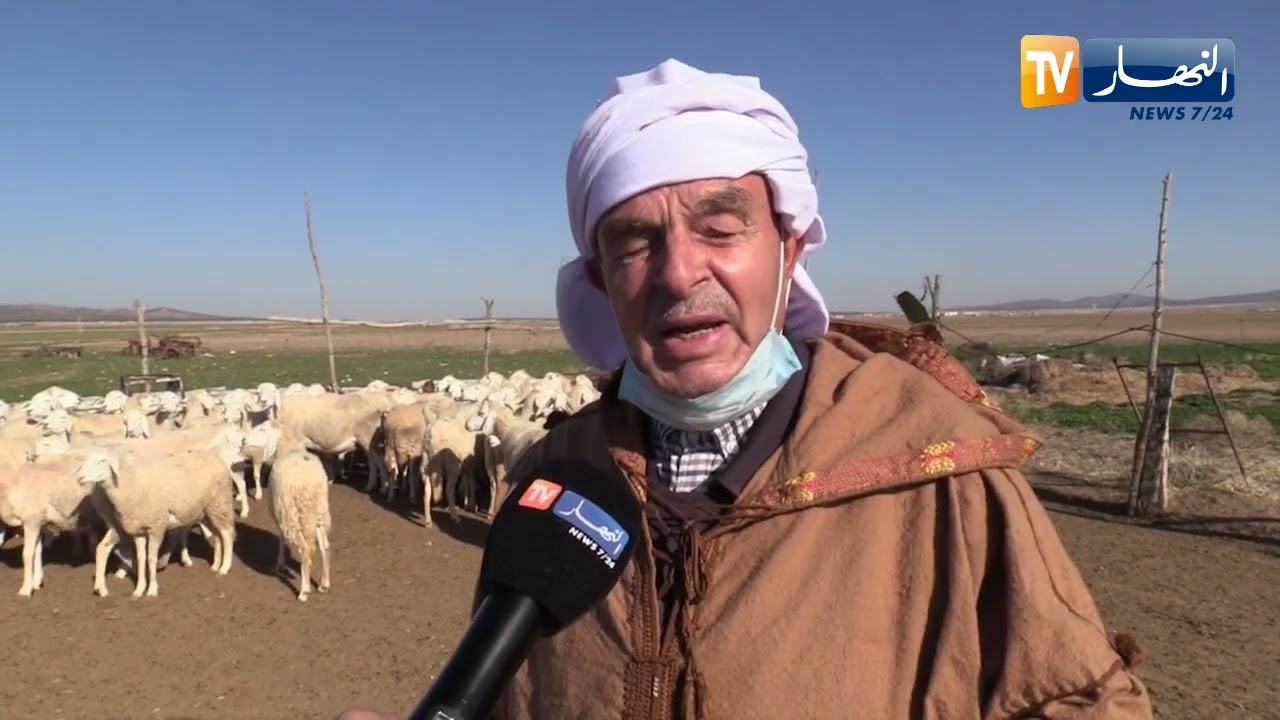 أم البواقي : ندرة مادة النخالة تلقي بضلالها على الفلاحين