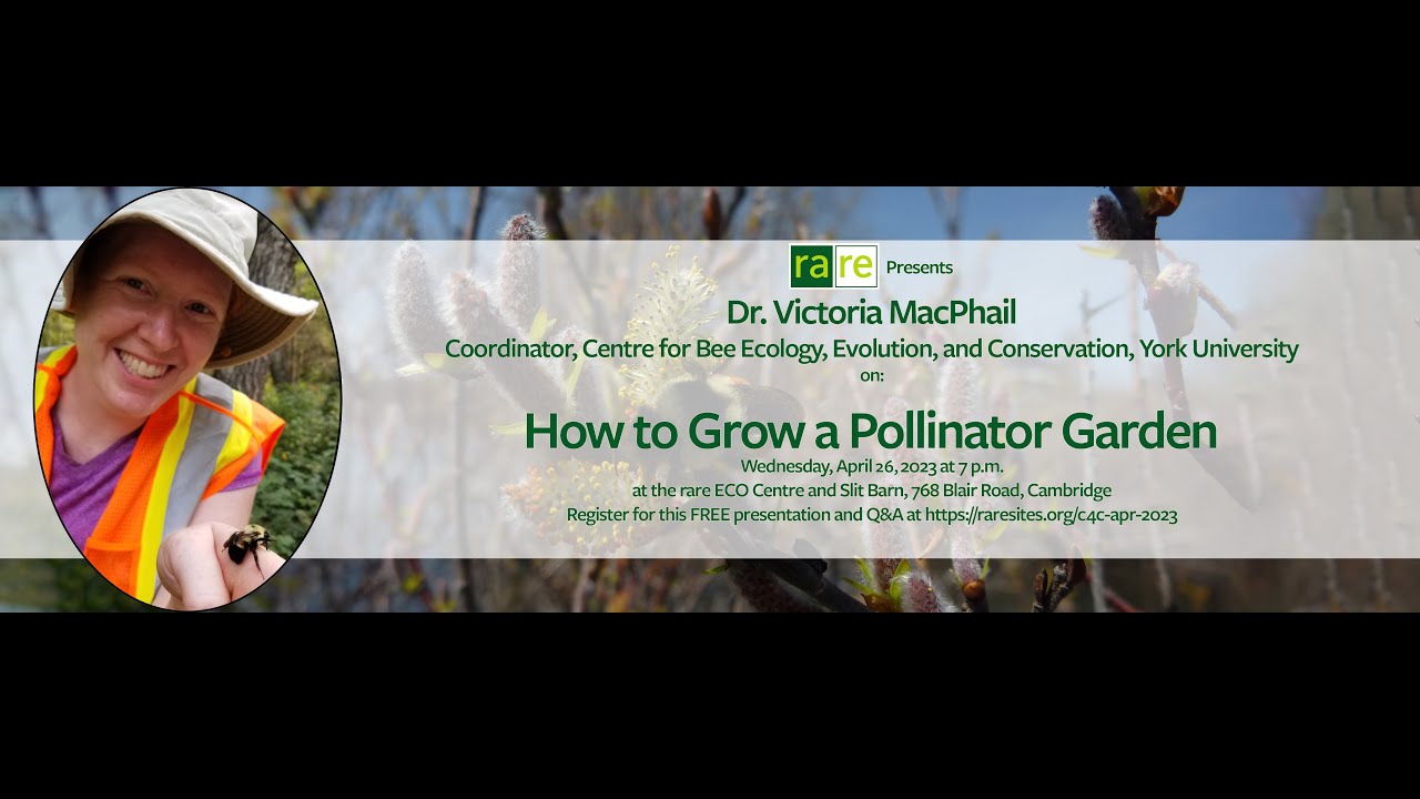 April 2023 Conversation for Conservation - How to Grow a Pollinator Garden