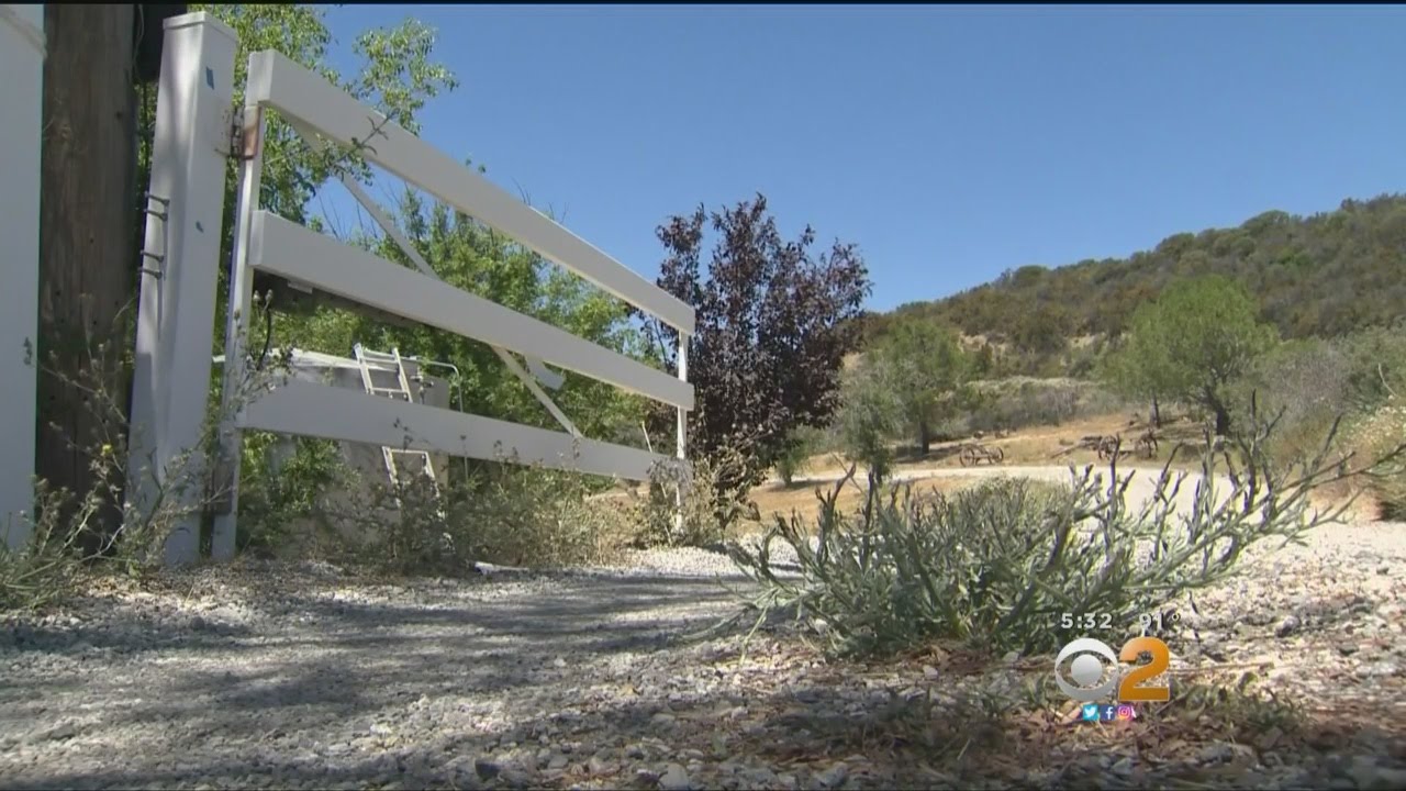 Intruder Doesn't Heed Warning, Woman Shoots Him In The Chest