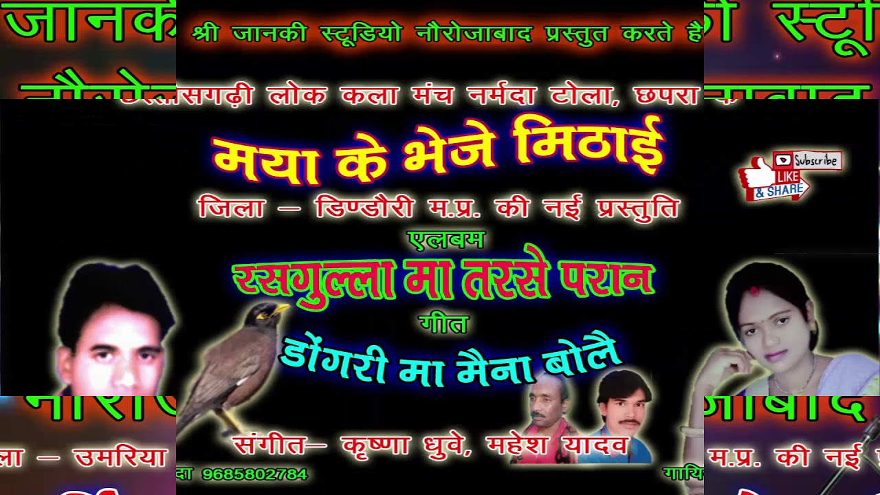 Tulsi nanda cg song Dongri ma maina bole