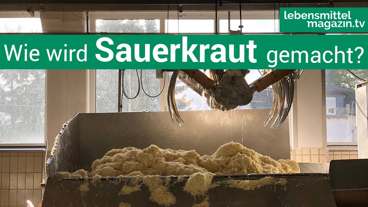 Wie wird Sauerkraut hergestellt? Ein Besuch bei Hengstenberg in Fritzlar