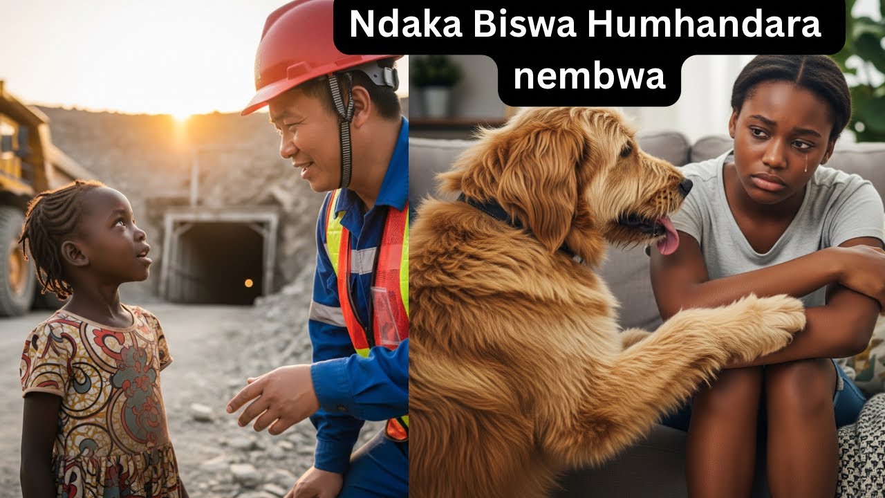 Ndakabiswa Humhandara nembwa |#secretsandconfessions #kurombazimbabwe