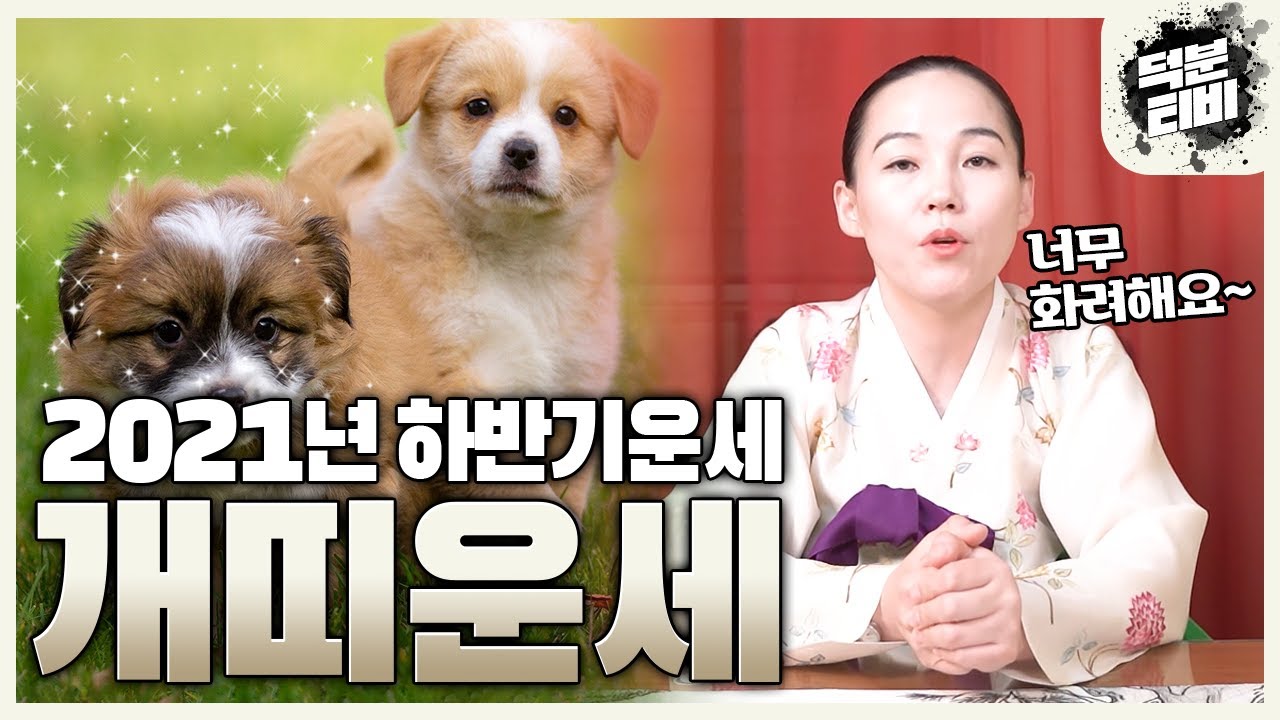 2021 신축년 하반기 띠별운세 개띠🐕하반기에 기운이 바뀐다!! 3년 고생 다 끝났고 기회가 오고 조력자와 귀인이 따른다
