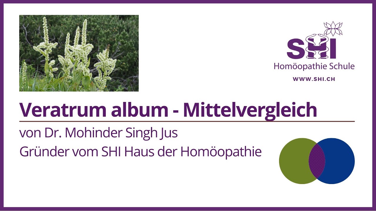 Veratrum album: Mittelvergleich