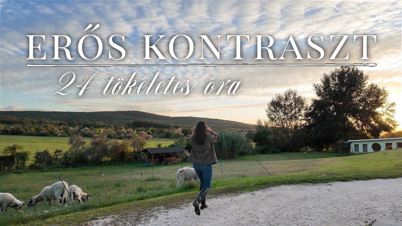 NAPI VLOG - tanya és 5* luxus 24 órán belül