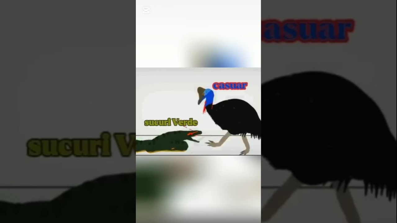 batalha animais modernos sucuri Verde vs casuar 