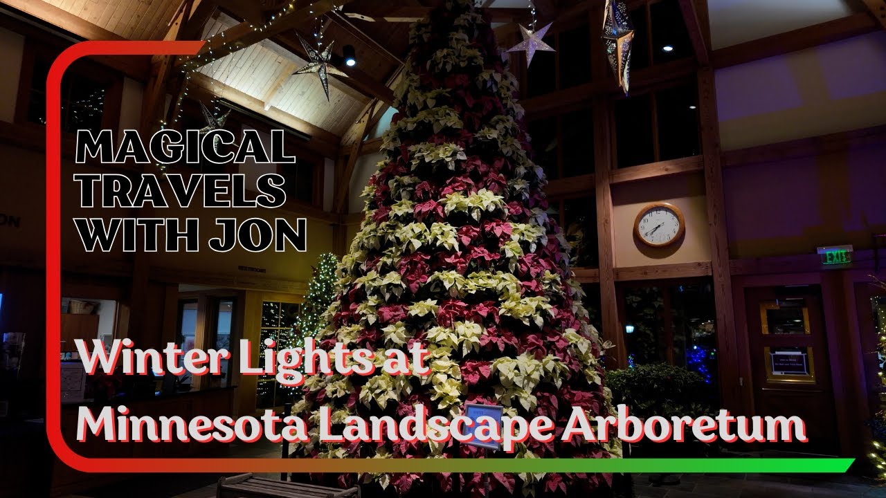 Walking Through Winter Lights at the Minnesota Landscape Arboretum