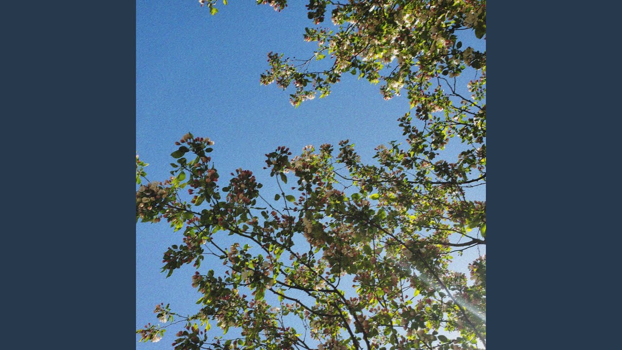 sunny day