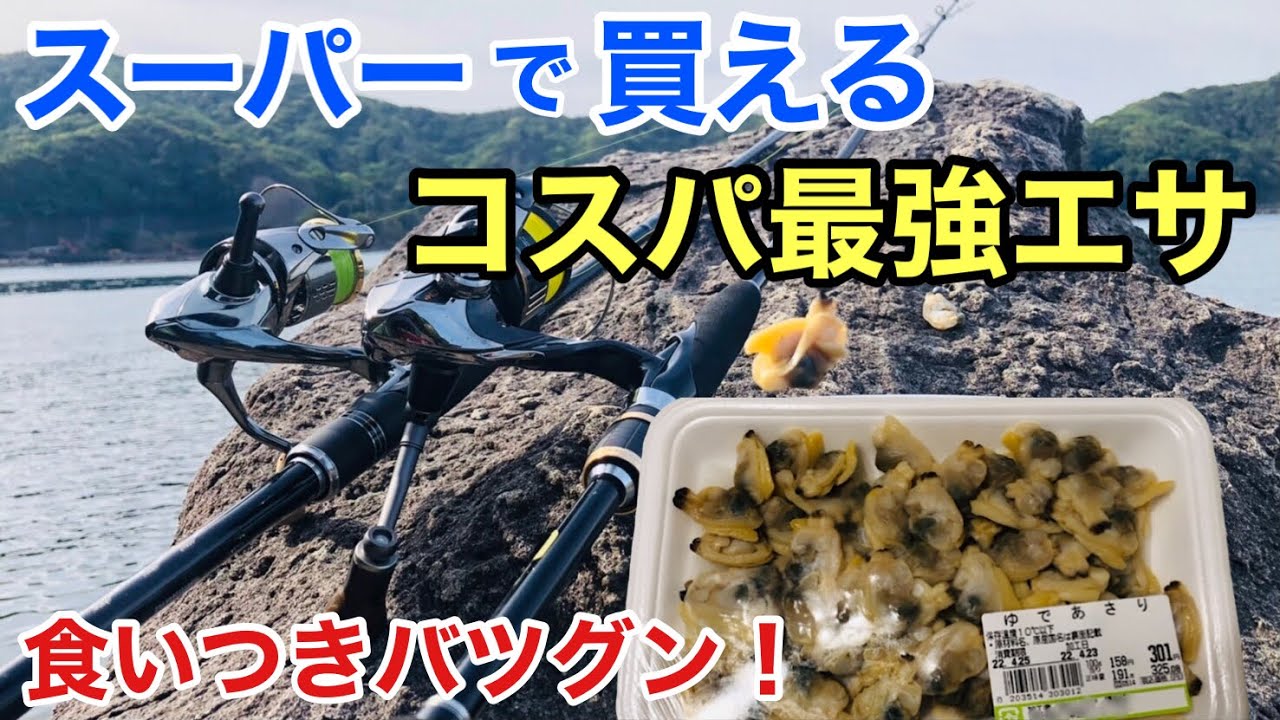 「スーパーの大量アサリ」を使って1日本気で釣りしたら楽しすぎた！
