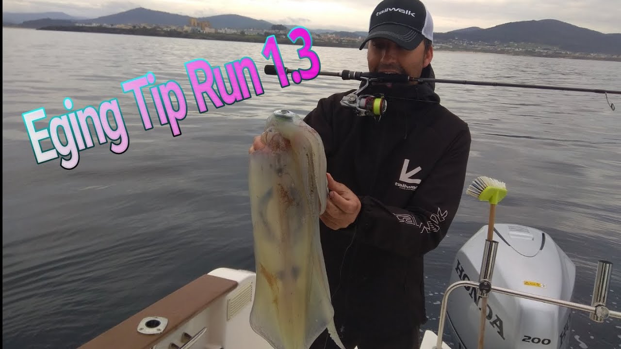 🔞 Big SQUID - CALAMAR XXL a EGING Tip RUN desde Embarcaci&oacute;n