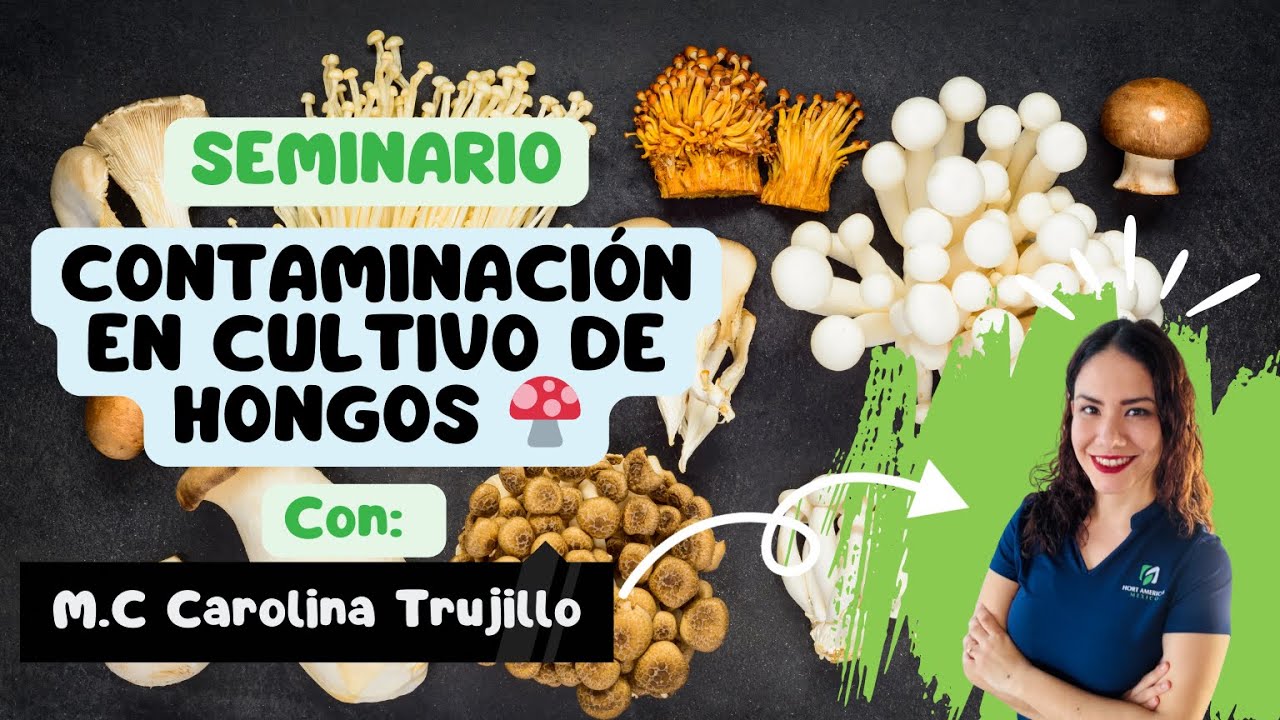 Seminario: Contaminación en cultivo de hongos 🍄
