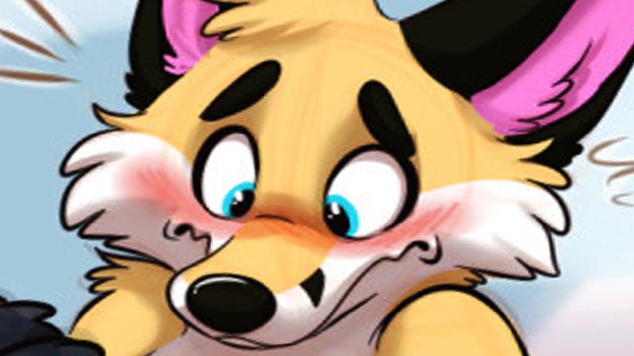 FURRY FOX FURSONAS