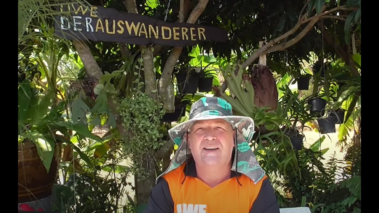 Thailand Ausgewandert. Curry Mekong Riesenwels. Uwes Kochstudio Chaya mit scharfer Auberginen Soße🌶️