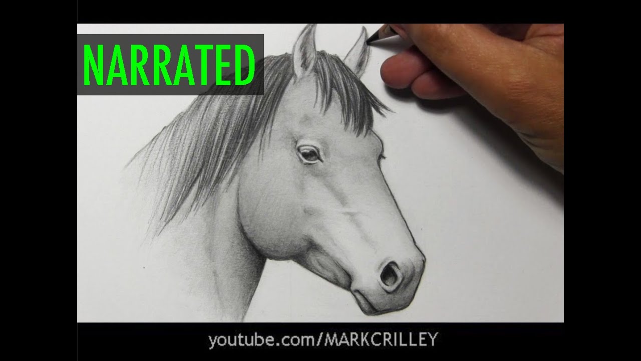 How to Draw a Horse [Narrated Step by Step]