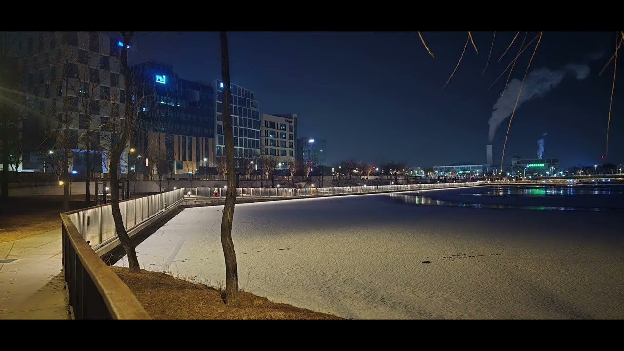 새벽 (서울식물원)