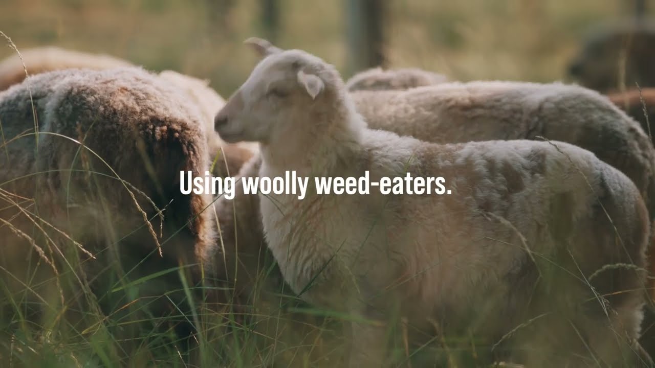 Sounds of Sustainability - Full Video