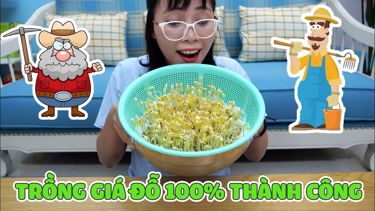 Người Nông Dân Thơ Nguyễn Thử Trồng Giá Đỗ Và Cái Kết
