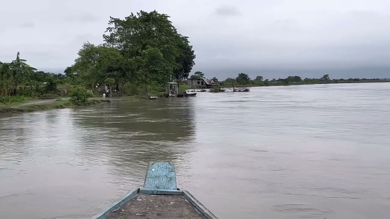 Dibru Saikhowa National Park (Guijan)