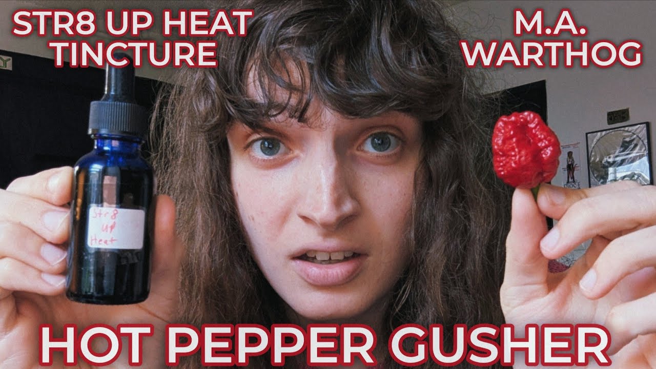 M.A. WARTHOG GUSHER W/ STR8 UP HEAT TINCTURE