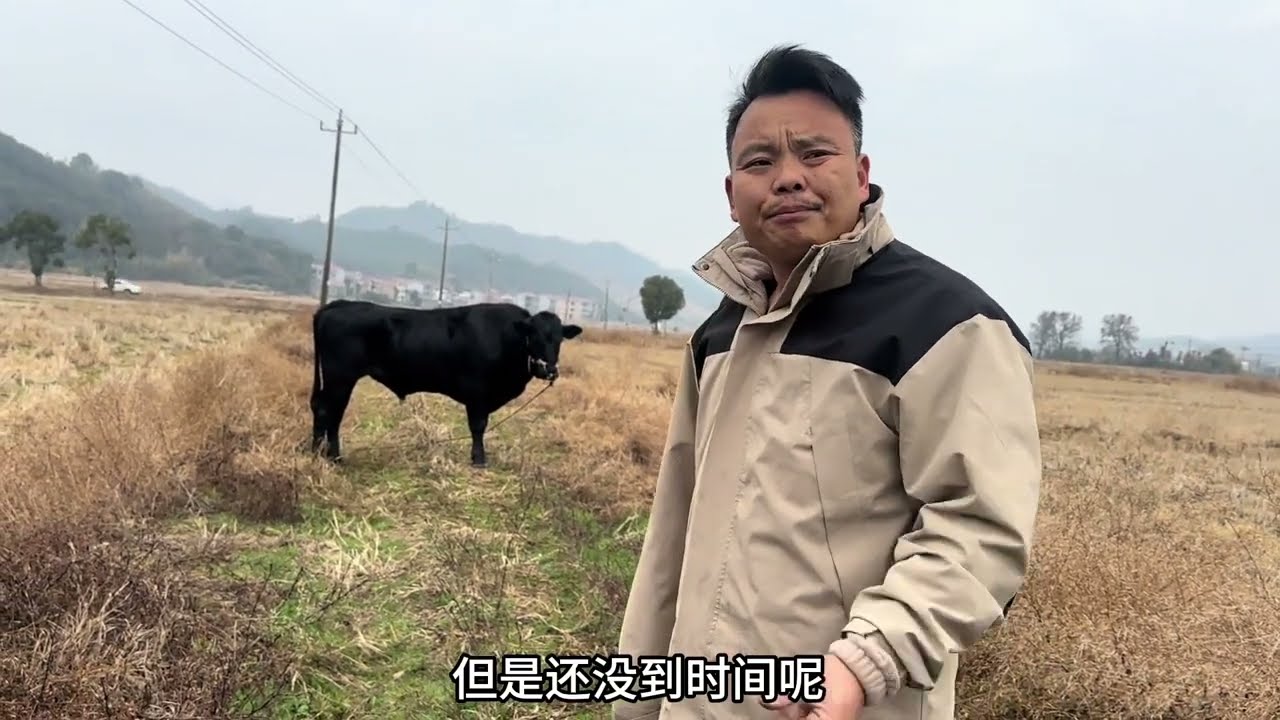 花139张盘回来的种公观察了一段时间感觉不对劲，最后决定… 