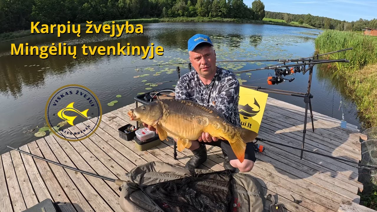Karpių žvejyba Mingėlių tvenkinyje