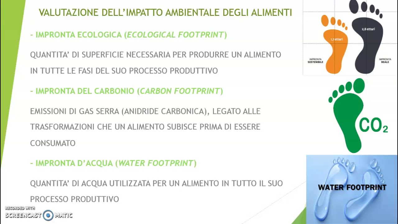 ED.ALIMENTARE - 04: piramide ambientale + ESERCITAZIONE