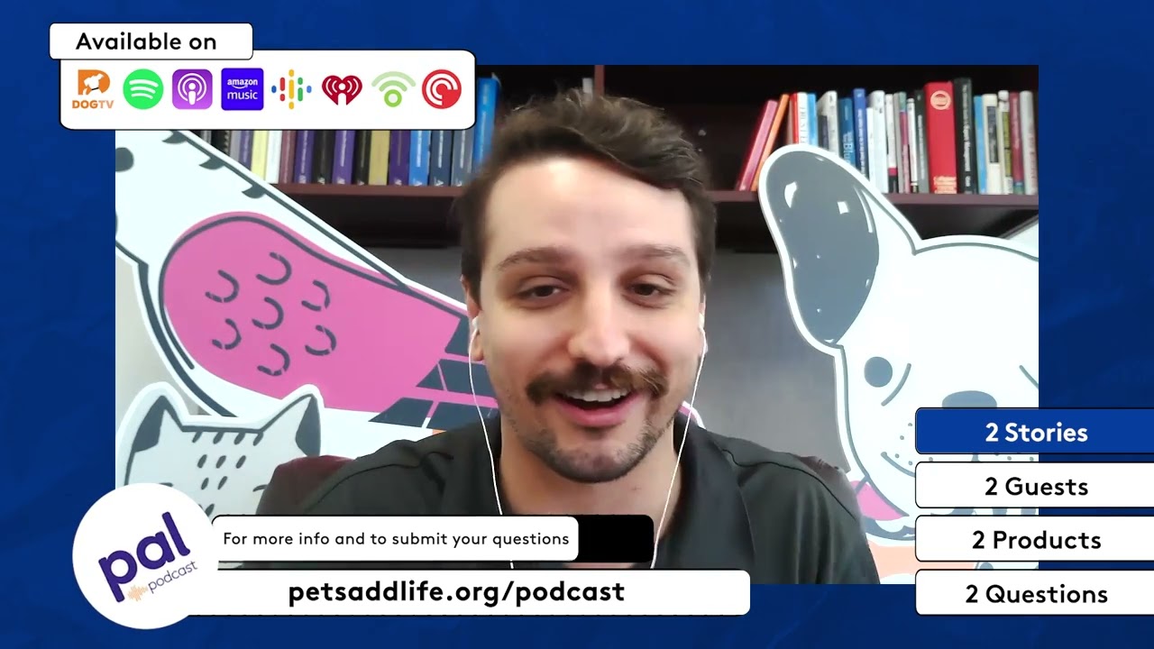 32. Bunny the Talking Dog @WhatAboutBunny and Holistic Dog Training