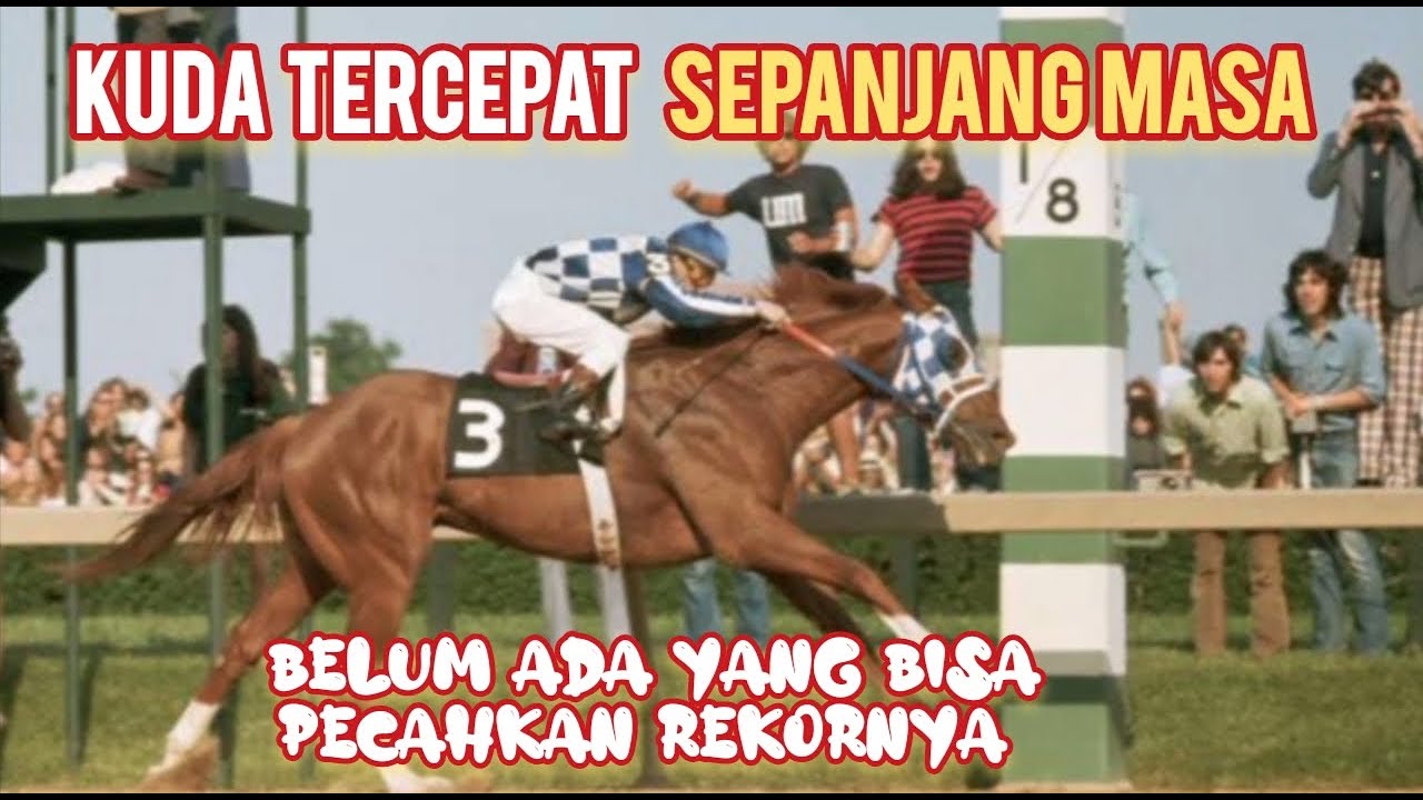 🔴 KUDA PACU TERCEPAT SEPANJANG MASA