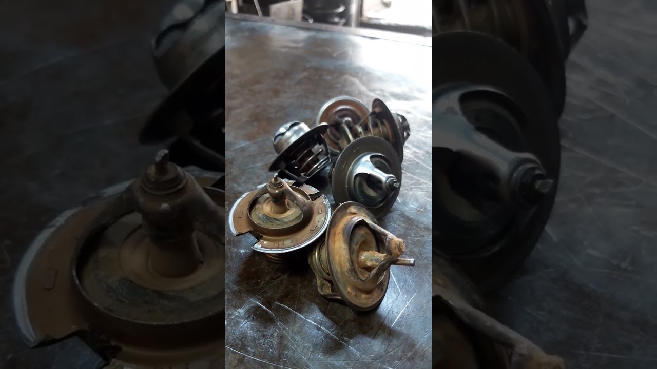 شرح مبسط عن ولف حماوه و اضراره