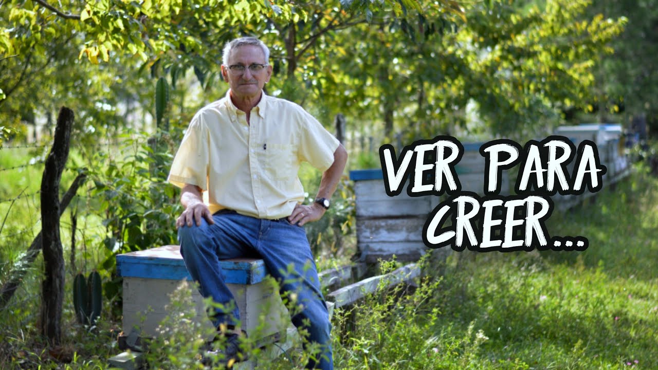 ¡Convive cada día con millones de ABEJAS! | ¿Son tan PELIGROSAS como se dice? | Entre Ríos