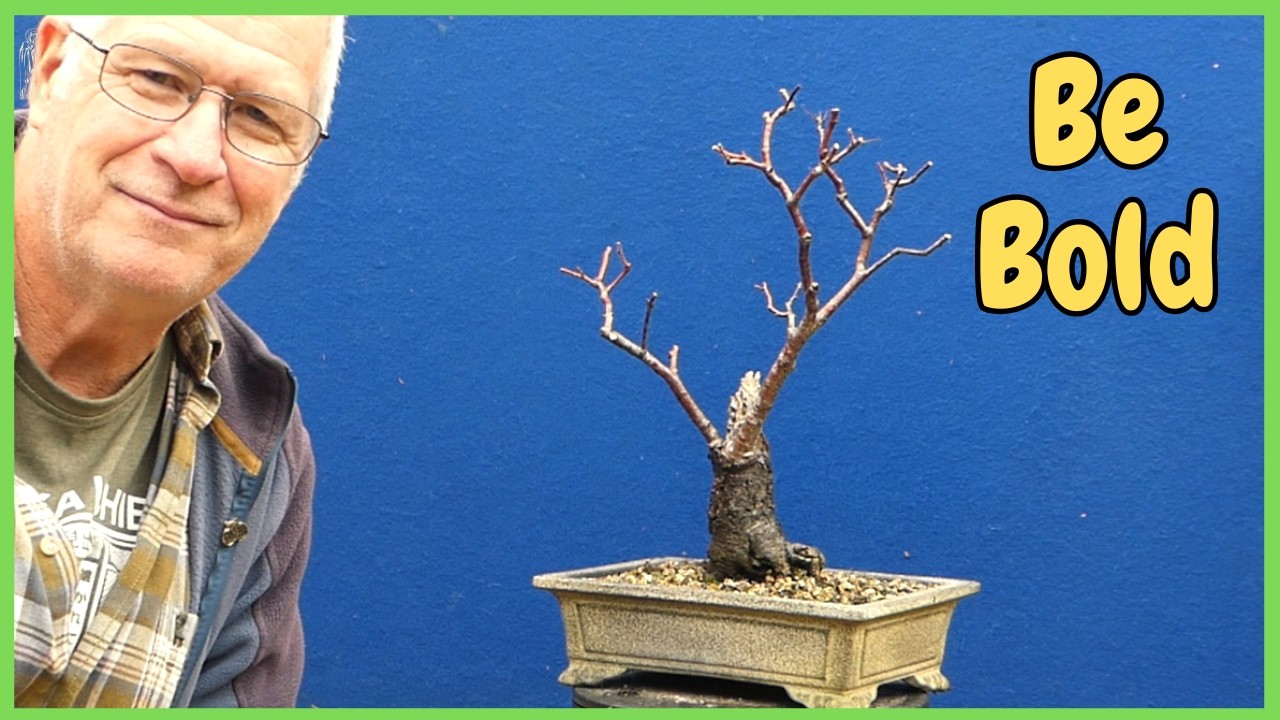 Nervous to Prune Your Birch Bonsai? Watch This First!