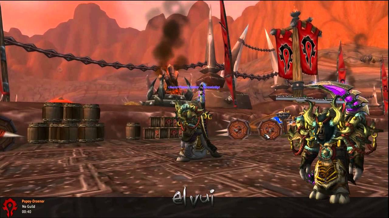WoW 6.0.2 - ElvUI cool AFK Feature!