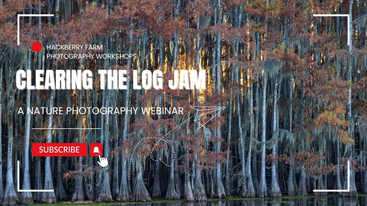 Breaking the Log Jam