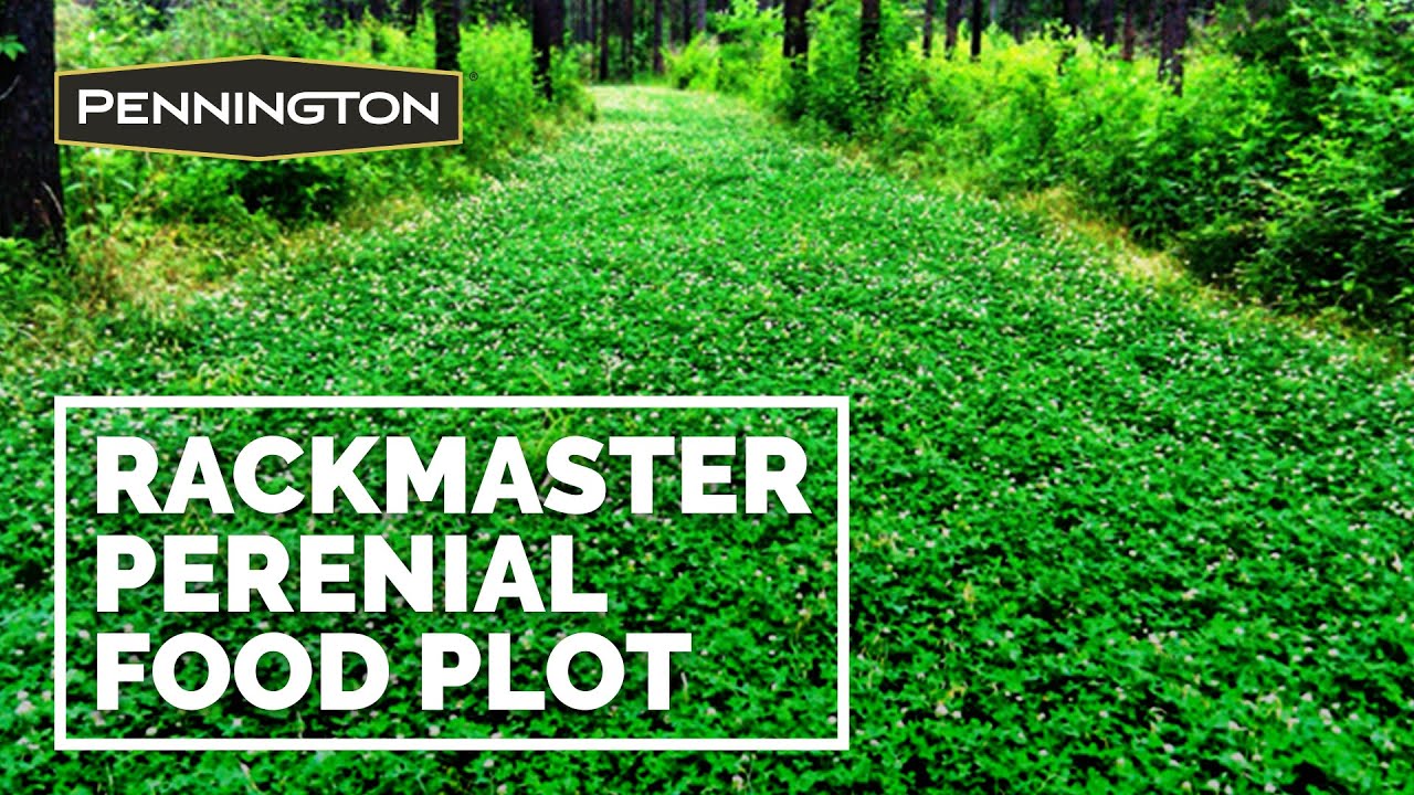 Rackmaster Perennial Food Plot Products