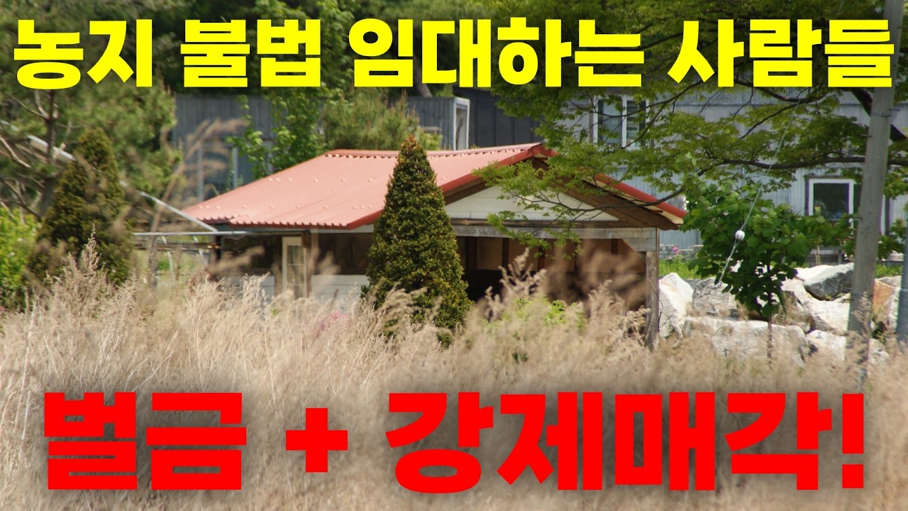 농지를 불법적으로 임대하는 사람들... 결국 벌금 + 강제매각처분!