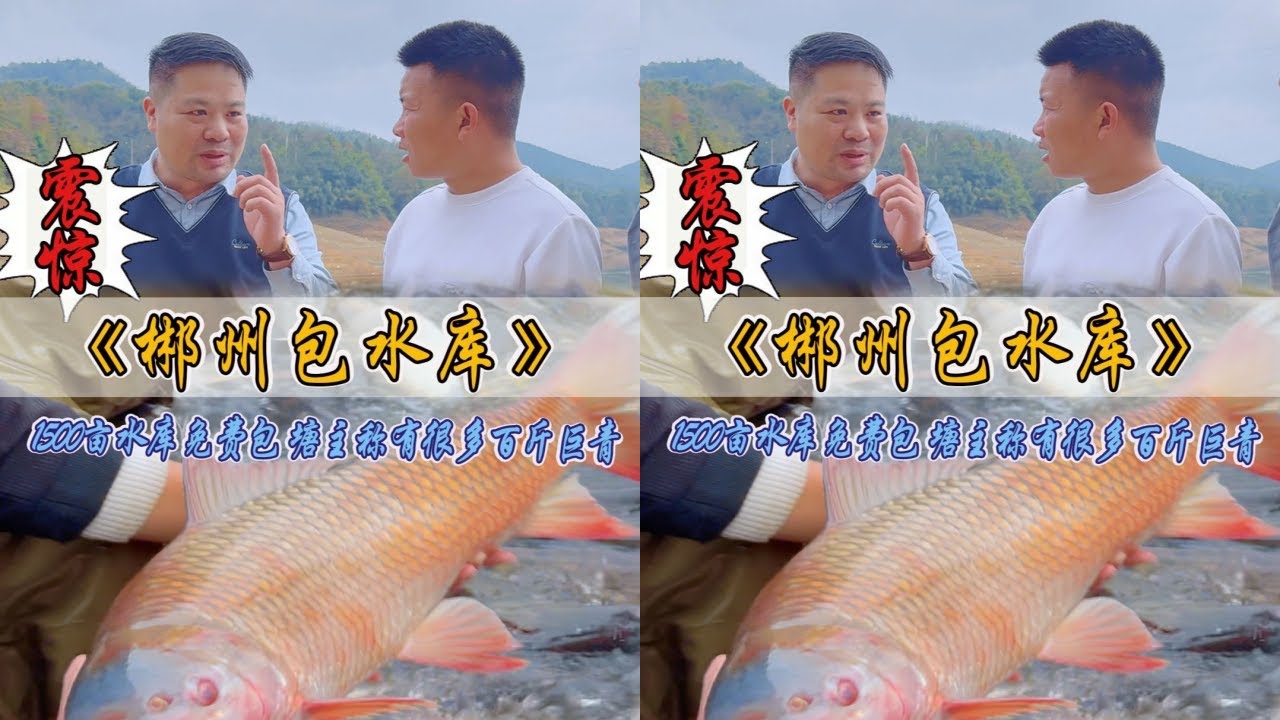 1500亩的大水库巨物横行，塘主竟然免费包给强子！