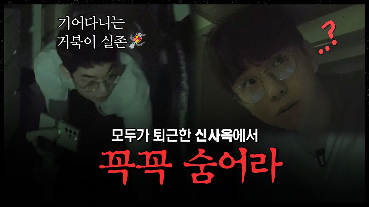 꼭꼭 숨어라 머리카락 보일라