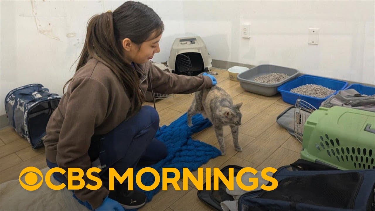 Veterinarian takes in dozens of pets as L.A. wildfires devastate the region