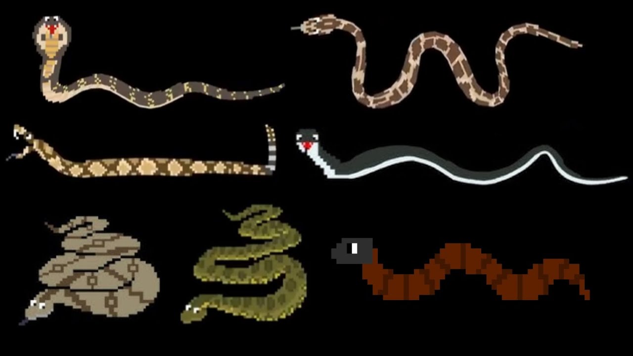 Snakes - @TheKidsPictureShow