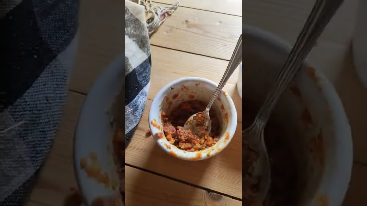 Comment nourrir un bébé merle?