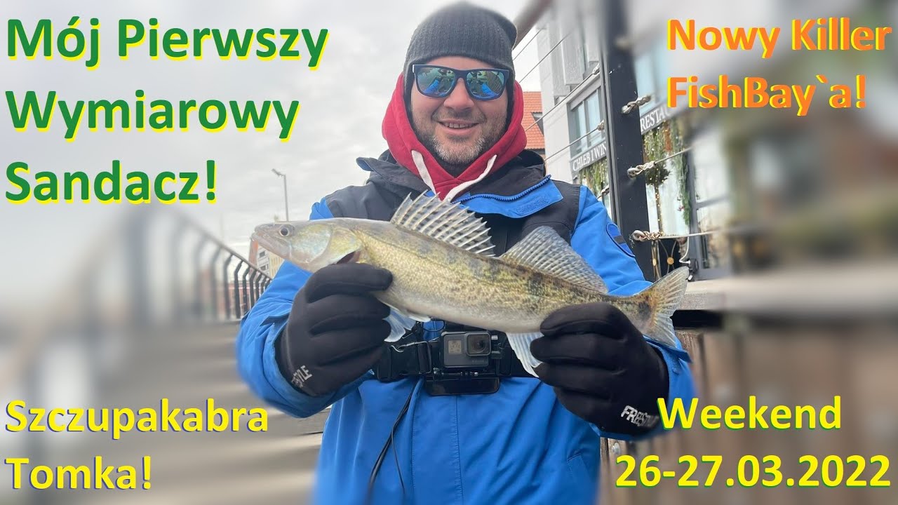 Życiówka Sandacza i Szczupak Tomka na Drop Shot | Motława - Wody Morskie #5
