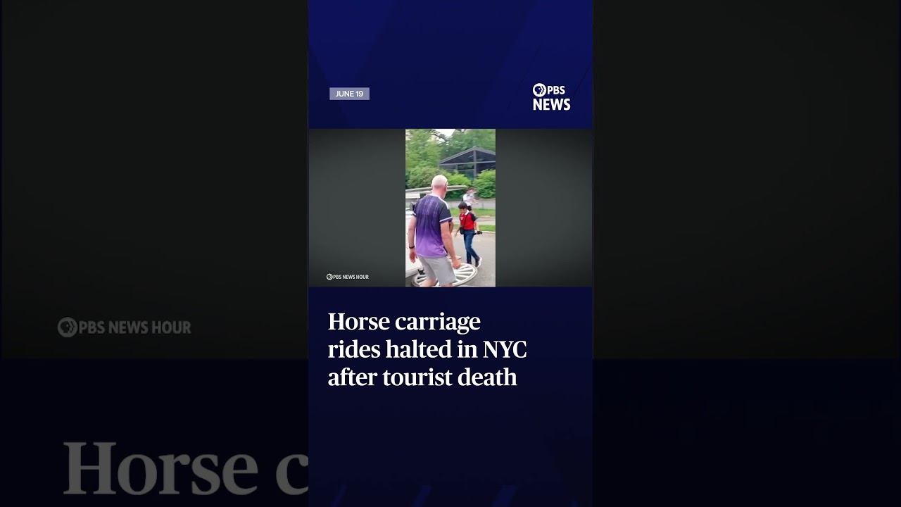 Horse carriage rides halted in NYC after tourist death
