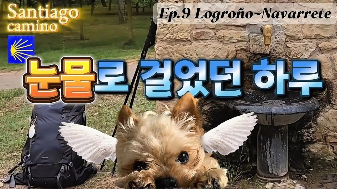 50대 나홀로 순례길 Ep.9🇪🇸 로그로뇨-나바레떼/ 내 갈비뼈 통증/ 무지개다리 너머의 나의 리오/ 눈물길/ 앞뒤로 백팩 두 개/ 그 와중에 맛있는 초리조와 올리브