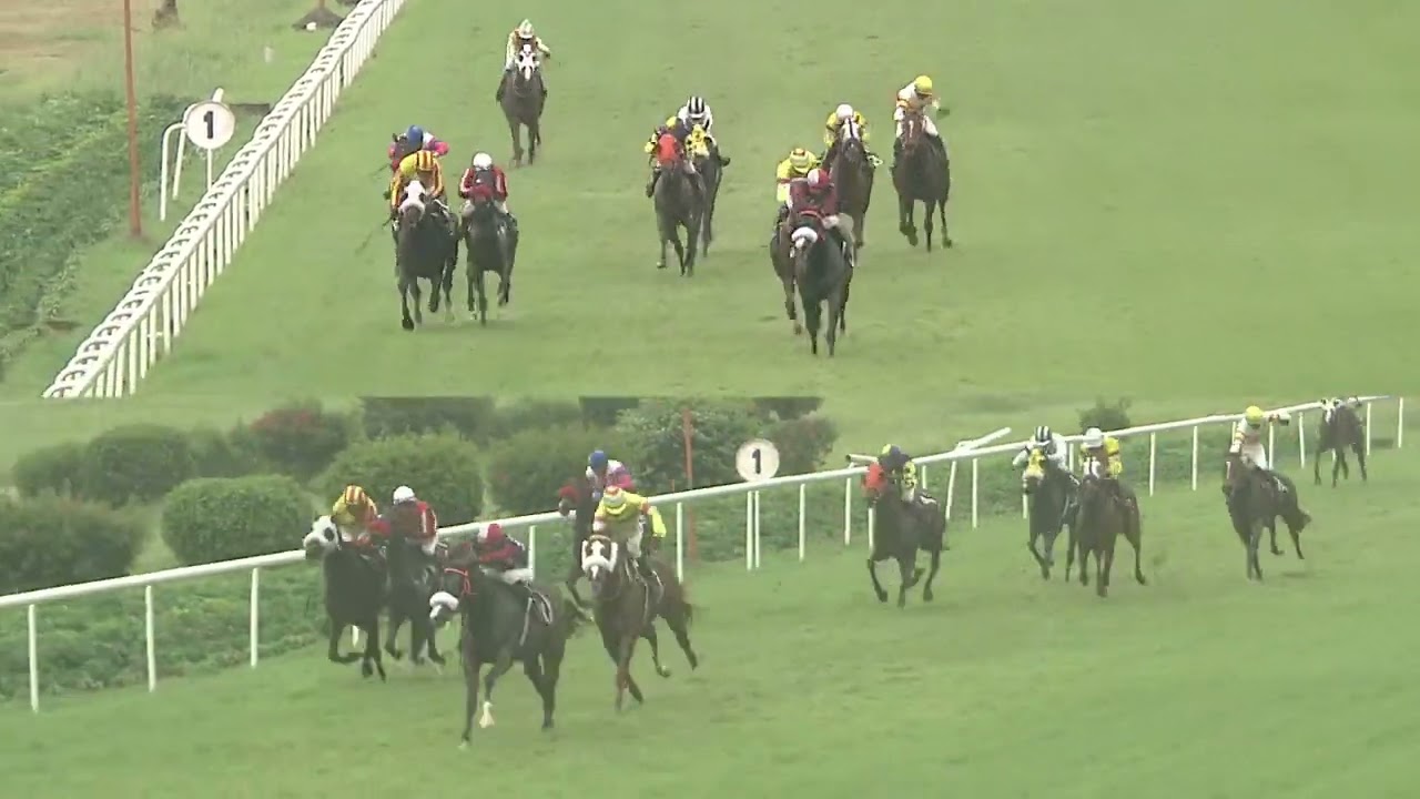 RED HILLS with Md Sameer up wins The Dupont Plate 2024 RACE 63
