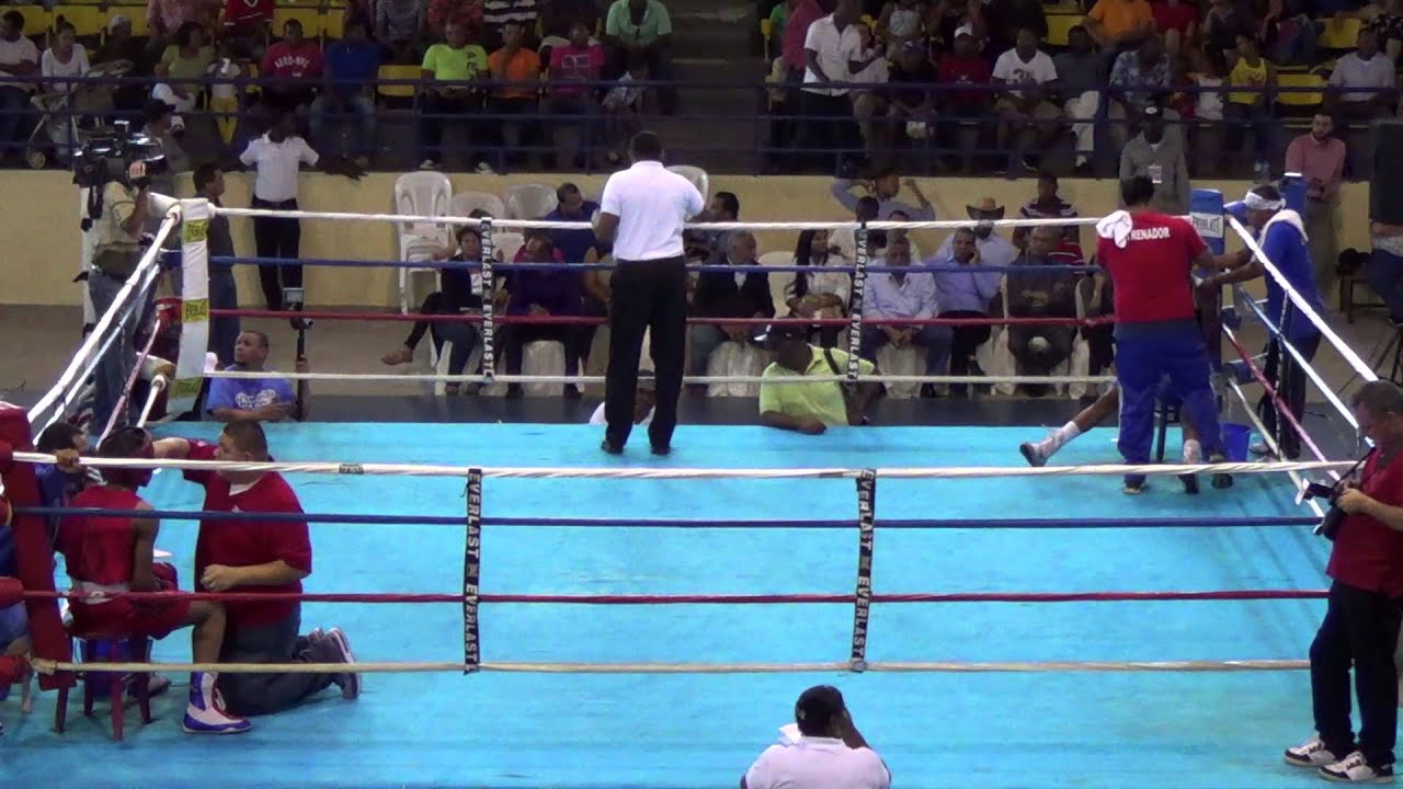 Devin Haney Finals, Dominican Republic