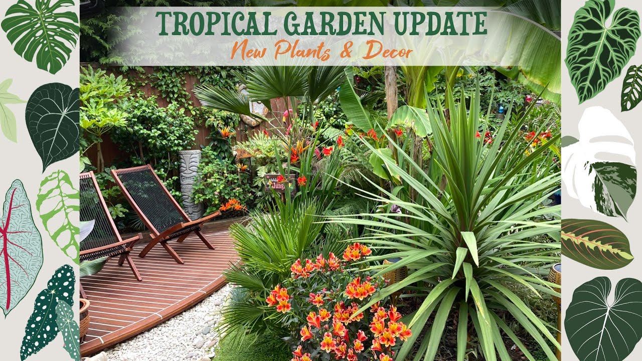 New Plants And Decor For My Tropical Garden 🌺🌴🐬☀️🍹🌿🦋🐚